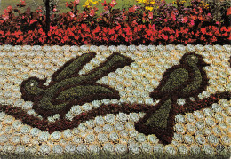 Delcampe - 50-COUTANCES-N°2799-C/0009 - Coutances