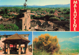 Delcampe - 84 MALAUCENE - Malaucene