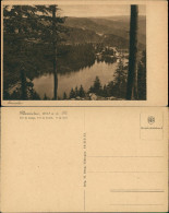 Delcampe - Ansichtskarte Seebach Region Badischer Schwarzwald, Panorama Mummelsee 1920 - Achern