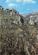 Delcampe - 06-GOURDON-N°382-C/0025 - Gourdon