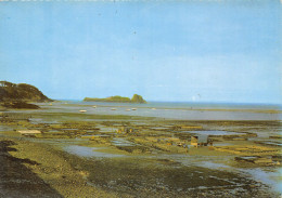 Delcampe - 35-CANCALE-N°388-B/0291 - Cancale