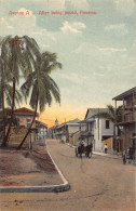 Delcampe - L334 Panama Avenue A After Being Paved Carriage Palm Street Vintage Postcard - Panama