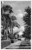 Delcampe - L334 Colombia Barranquilla El Prado Trees Car Vintage Postcard - Colombie