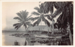 Delcampe - L334 Panama Pacora Beach Palm Trees Huts Vintage Postcard - Panama