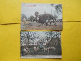 Delcampe - VIMOUTIERS A TRAVERS LA NORMANDIE RENTREE DES FOINS ET COCHONS - Vimoutiers