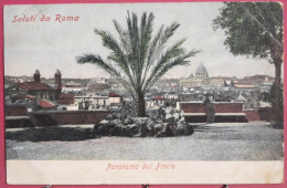 Delcampe - Italie - Saluti Da Roma - Panorama Dal Pincio - Parks & Gärten