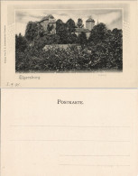 Delcampe - Ansichtskarte Elgersburg Schloss Elgersburg 1901 Passepartout - Elgersburg