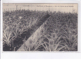 Delcampe - PARAME: Culture D'ananas, Une Des Serres De La Mariette - Très Bon état - Parame