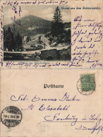 Delcampe - Ansichtskarte Oppenau Partie - Brücke 1900 - Oppenau