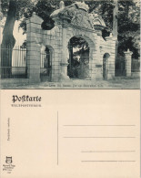 Delcampe - Ansichtskarte Nassau (Lahn) Tor Am Stein'schen Hofe, Portal Eingang 1907 - Nassau