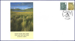 Delcampe - Groot-Brittannië - FDC - Definitives Noord-Ierland - 01-04-2008 - 2001-2010 Decimal Issues