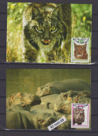 Delcampe - 2008 120th Anniv. Of Sofia Zoo 2  MC (maximum Card) BULGARIA / Bulgarie - FDC