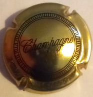 Delcampe - Générique  N° 560  Lambert Génériques 2025  Page 45  Or Et Noir - Other & Unclassified