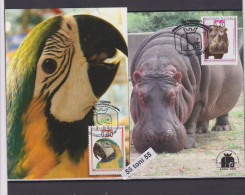 Delcampe - 2008 120th Anniv. Of Sofia Zoo 2  MC (maximum Card) BULGARIA / Bulgarie - FDC