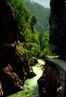 Delcampe - CPM Monastere De La Grande Chartreuse Isere Route De La Grande Chartreuse Entree Du Desert - Chartreuse
