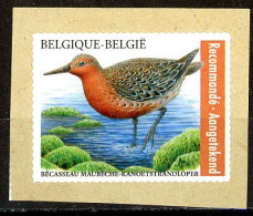 Delcampe - BE   5147   X    2023  ---    Bécasseau Maubèche  --  Sur Fragment - Ungebraucht