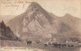 Delcampe - 74-THONES-N°510-F/0387 - Thônes