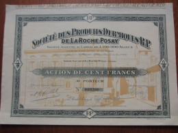 Delcampe - FRANCE  - 86 - VIENNE - PRDUITS DERMIQUES DE LA ROCHE POSAY - ACTION DE 100 FRS - LA ROCHE POSSAY 1930 - BELLE DECO - Otros & Sin Clasificación