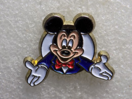 Delcampe - PINS - Sin Clasificación