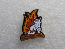 Delcampe - PINS - Sin Clasificación