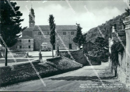 Delcampe - S756 Cartolina Colli Euganei Arqua' Petrarca Provincia Di Padova - Padova (Padua)