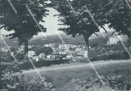Delcampe - S742 Cartolina Fiuggi Fonte Panorama Provincia Di Frosinone - Frosinone