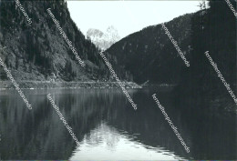 Delcampe - S768 Cartolina Bacino Di Forte Buso Provincia Di Trento - Trento