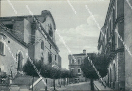 Delcampe - S773 Cartolina Atessa Viale Trento E Trieste Cattedrale Provincia Di Chieti - Chieti