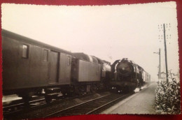 Delcampe - LE CELLIER Gare  Express PARIS NANTES (photo Pour La Vie Du Rail) - Le Cellier