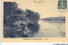 Delcampe - EMI-AAAP3-0329-91 - RIS-ORANGIS - Champrosay - La Seine - Ris Orangis