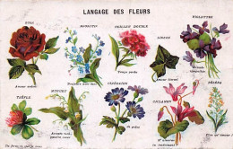 Delcampe - Langage Des Fleurs - - Bloemen