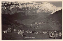 Delcampe - A182 Switzerland Loeche Les Bains Leukerbad Cows Mountain Vintage Postcard - Mundo