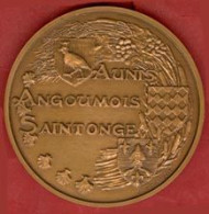 Delcampe - ** MEDAILLE  AUNIS  -  ANGOUMOIS  -  SAINTONGE  1979  +  ECUSSON ** - Otros & Sin Clasificación