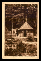 Delcampe - 88 - SAINT-DIE - CASCADE DES MOLIERES - Saint Die