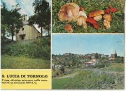 Delcampe - Italie - S.LUCIA DI TORNOLO - CPM Multi Vues - Sonstige & Ohne Zuordnung