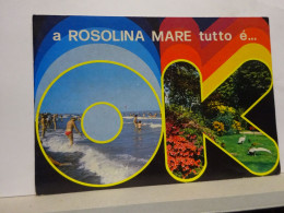 Delcampe - ROSOLINA   MARE  -- ROVIGO -- OK. - Rovigo