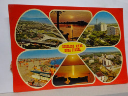 Delcampe - ROSOLINA   MARE  - ROSA PINETA -- ROVIGO -- - Rovigo