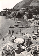 Delcampe - 13-LA CIOTAT-N°2819-D/0053 - La Ciotat