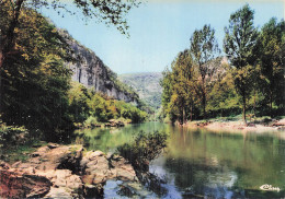 Delcampe - 82 SAINT ANTONIN NOBLE VAL LES GORGES DE L AVEYRON - Saint Antonin Noble Val