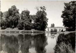 Delcampe - 45 CHATILLON SUR LOIRE CPSM Format 10X15[DTZ-15392] - Chatillon Sur Loire