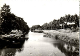 Delcampe - 45 CHATILLON SUR LOIRE CPSM Format 10X15[DTZ-15374] - Chatillon Sur Loire