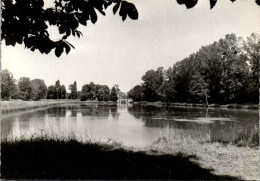 Delcampe - 45 CHATILLON SUR LOIRE CPSM Format 10X15[DTZ-15391] - Chatillon Sur Loire