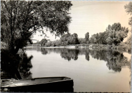 Delcampe - 45 CHATILLON SUR LOIRE CPSM Format 10X15[DTZ-15373] - Chatillon Sur Loire