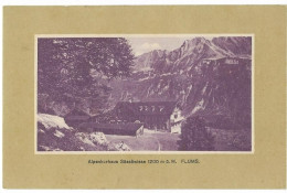Delcampe - FLUMS: Alpenkurhaus Sässliwiese ~1910 - Flums