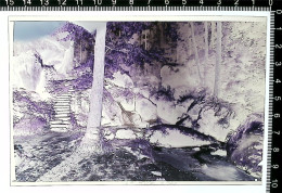 Delcampe - 31004984 - Buehlertal - Bühlertal