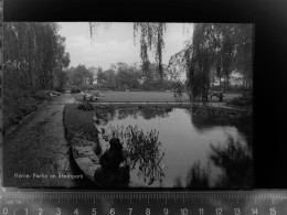 Delcampe - 30053238 - Herne , Westf - Herne