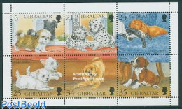 Delcampe - Gibraltar 1996 Dog Puppies 6v M/s, Mint NH, Nature - Dogs - Gibraltar