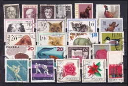 Delcampe - Polen 1 Steckkarte Mit Marken Gestempelt - Autres & Non Classés