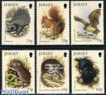 Delcampe - Jersey 1999 Small Mammals 6v, Mint NH, Nature - Animals (others & Mixed) - Bats - Hedgehog - Jersey