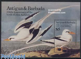 Delcampe - Antigua & Barbuda 1985 J.J. Audubon S/s, Mint NH, Nature - Birds - Antigua Und Barbuda (1981-...)